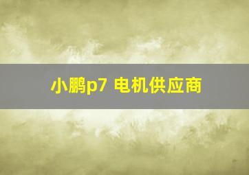 小鹏p7 电机供应商